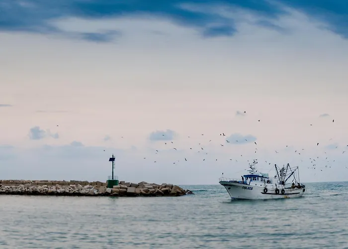 Molike Hotel Giulianova