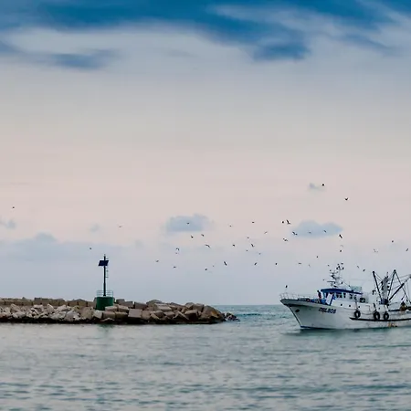 Molike Hotel Giulianova